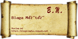 Blaga Máté névjegykártya