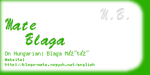 mate blaga business card